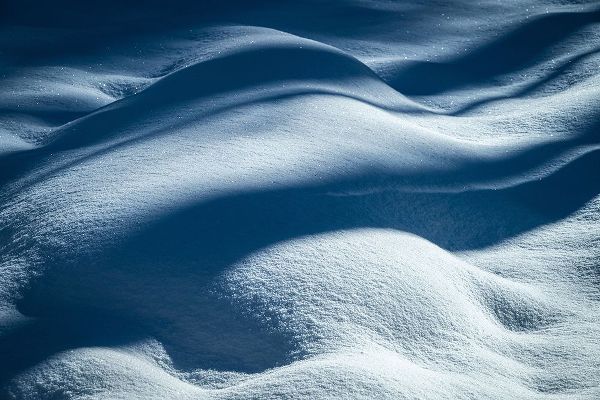 Jaynes Gallery 아티스트의 USA-New Jersey-Pine Barrens National Preserve Shadow patterns on fresh snow작품입니다.